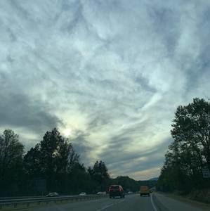 Meet your Posher, Ava